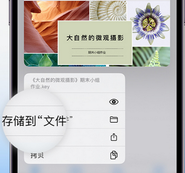 碌曲apple维修中心分享iPhone文件应用中存储和找到下载文件