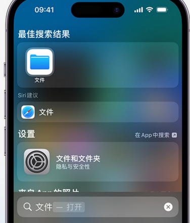 碌曲apple维修中心分享iPhone文件应用中存储和找到下载文件 