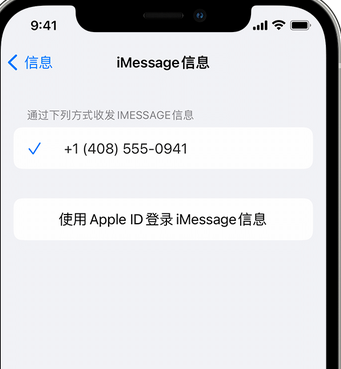 碌曲apple维修iPhone上无法正常发送iMessage信息 