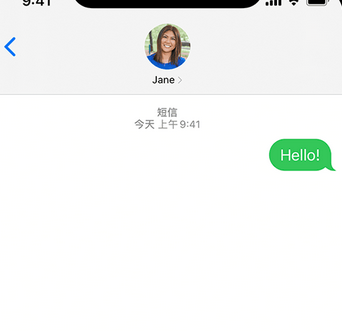 碌曲apple维修iPhone上无法正常发送iMessage信息