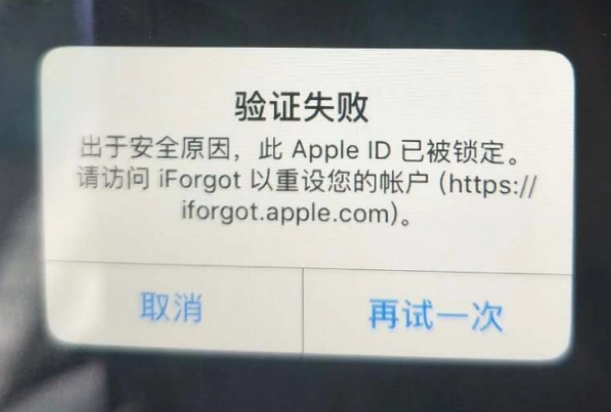 碌曲iPhone维修分享iPhone上正常登录或使用AppleID怎么办 