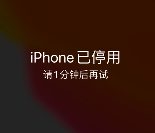 碌曲苹果手机维修分享:iPhone 显示“不可用”或“已停用”怎么办？还能保留数据吗？ 