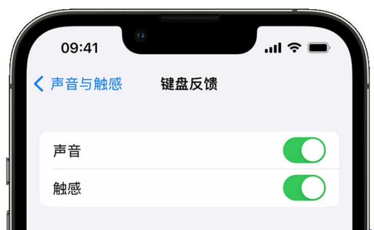 碌曲苹果手机维修分享iPhone 14触感键盘使用方法 