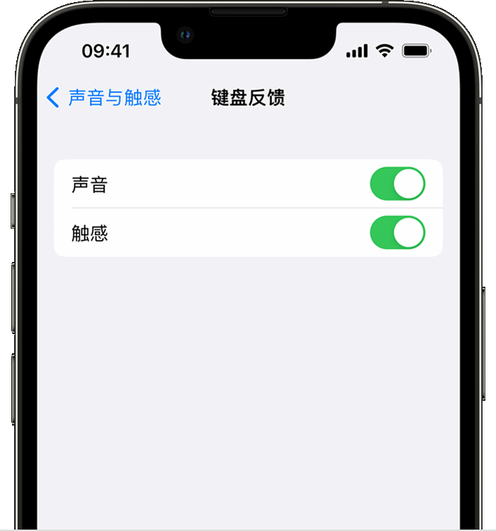 碌曲苹果14维修店分享如何在 iPhone 14 机型中使用触感键盘 