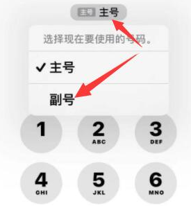 碌曲苹果14维修店分享iPhone 14 Pro Max使用副卡打电话的方法 