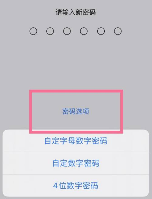 碌曲苹果14维修分享iPhone 14plus设置密码的方法 