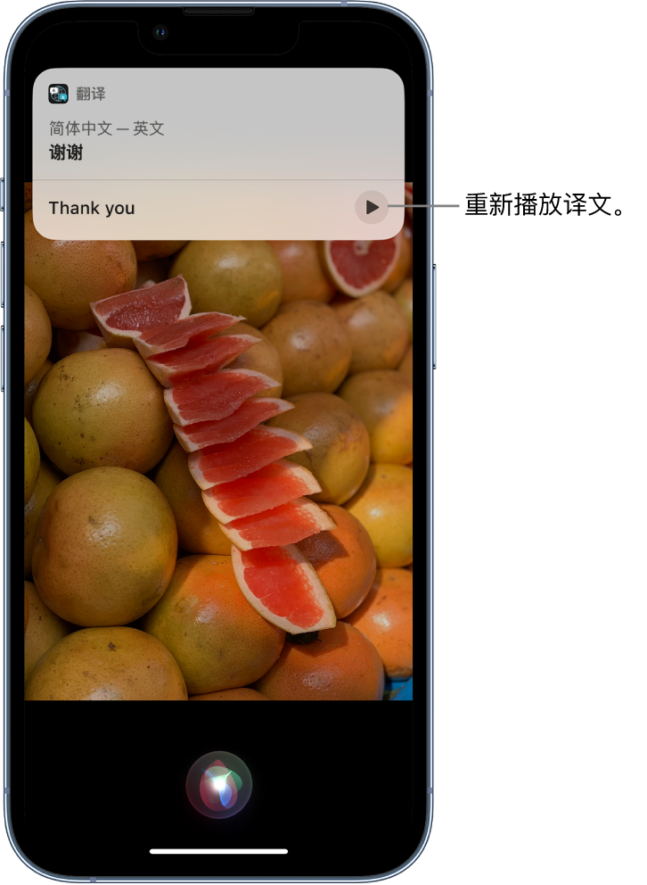 碌曲苹果14维修分享 iPhone 14 机型中使用 Siri：了解 Siri 能帮你做什么 