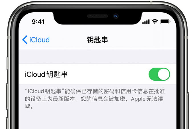 碌曲苹果手机维修分享在 iPhone 上开启 iCloud 钥匙串之后会储存哪些信息 