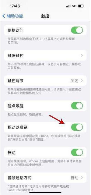 碌曲苹果手机维修分享iPhone手机如何设置摇一摇删除文字 