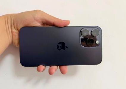碌曲苹果维修点分享iPhone 14 Pro Max黑屏少见故障盘点 
