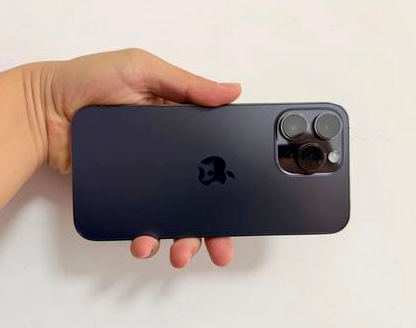 碌曲苹果维修点分享iPhone 14 Pro Max发烫多重诱因剖析 